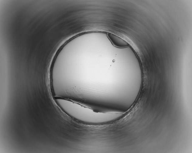 X0000095960996200802011118