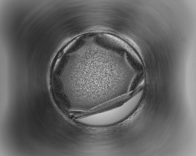 X0000095960997200802011118