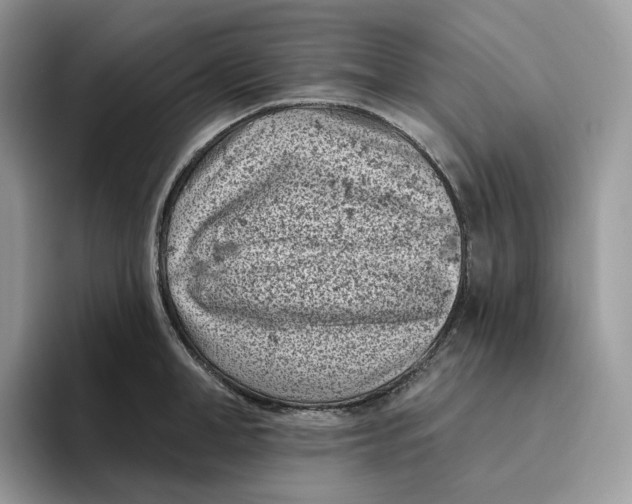 X0000095960998200802011118