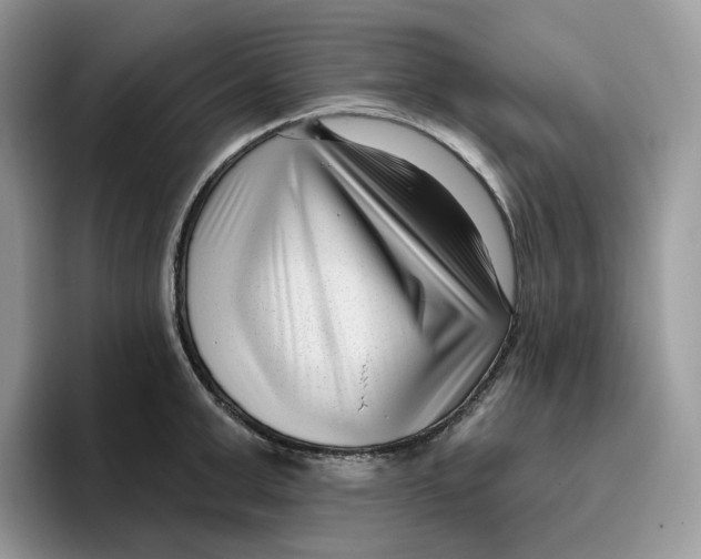 X0000095960999200802011118