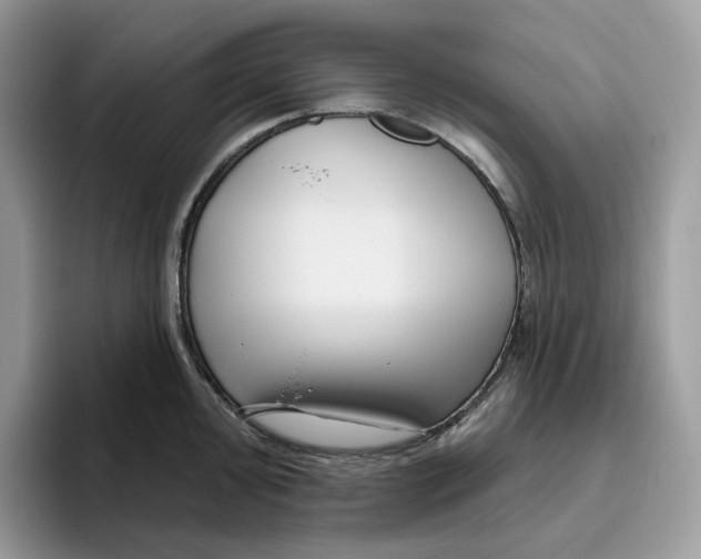 X0000095961000200802011118