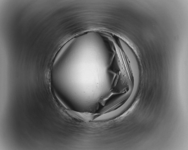 X0000095961001200802011118