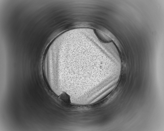 X0000095961002200802011118