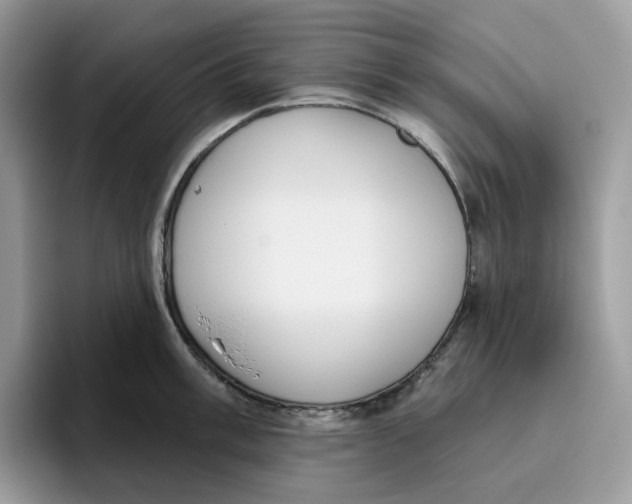 X0000095961003200802011118