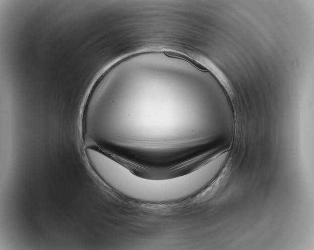 X0000095961004200802011118