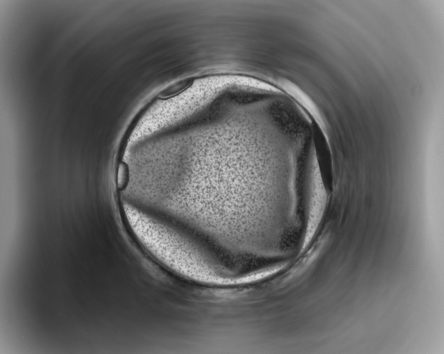 X0000095961005200802011118