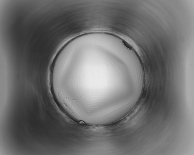 X0000095961006200802011118