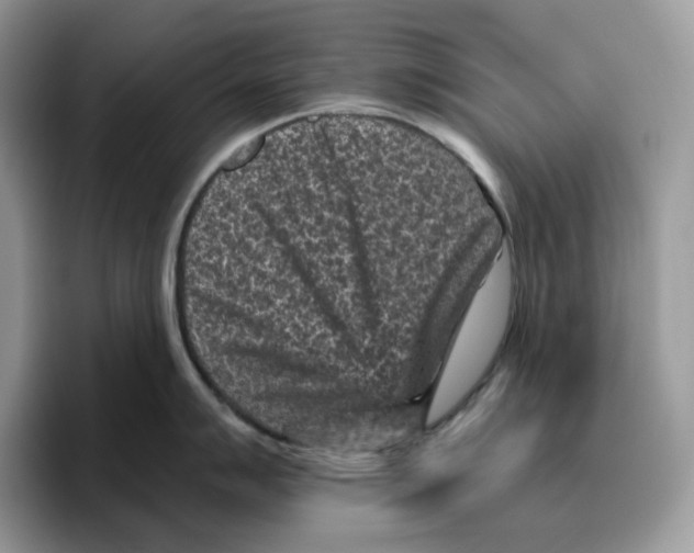 X0000095961007200802011118