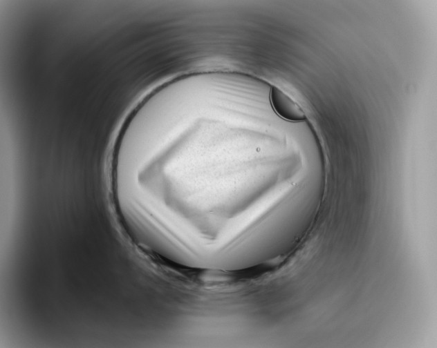 X0000095961008200802011118