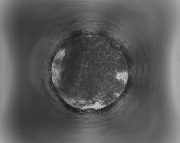 X0000095961009200802011117