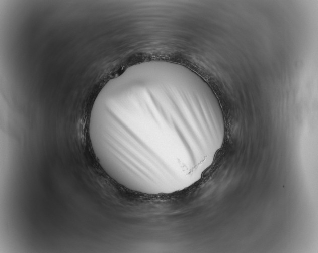 X0000095961010200802011117