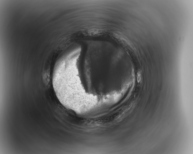 X0000095961011200802011117