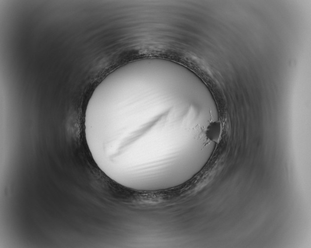 X0000095961012200802011117