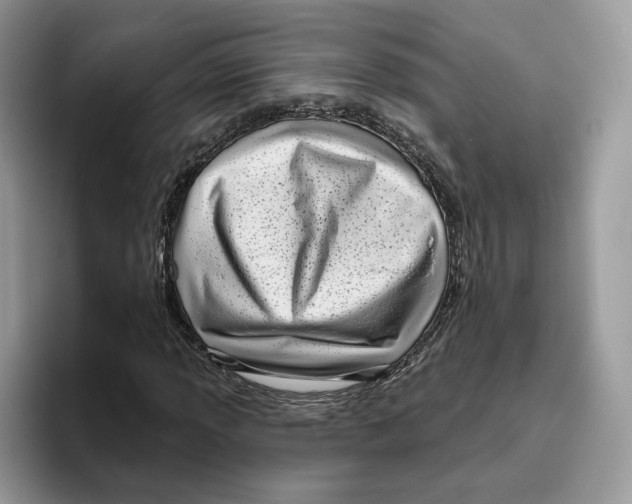 X0000095961013200802011117