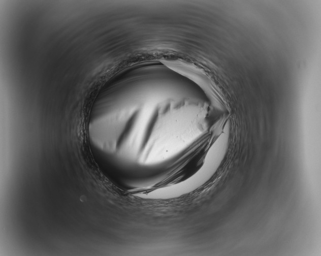 X0000095961014200802011117