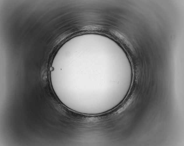 X0000095961017200802011117