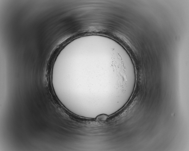 X0000095961018200802011117