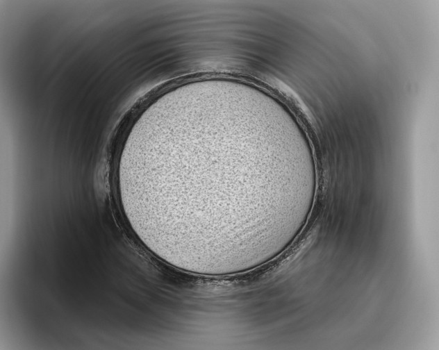 X0000095961019200802011117