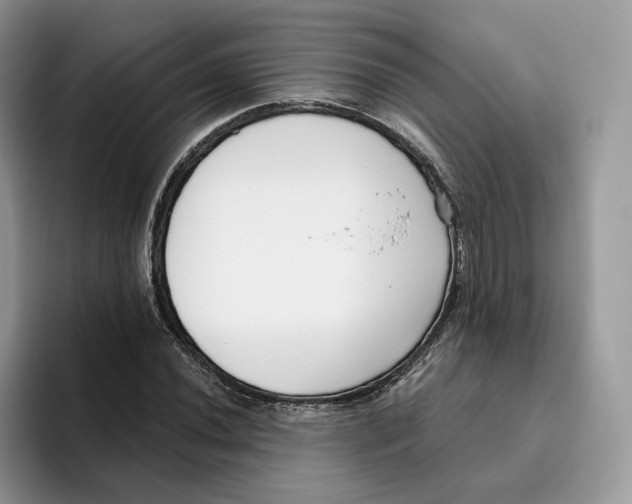 X0000095961020200802011117