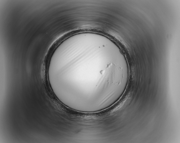 X0000095961021200802011117