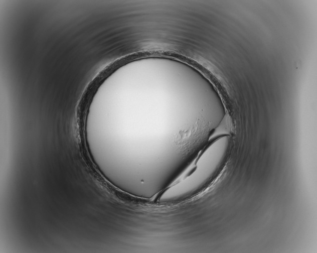 X0000095961022200802011117