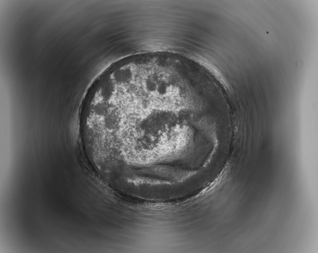 X0000095961023200802011118