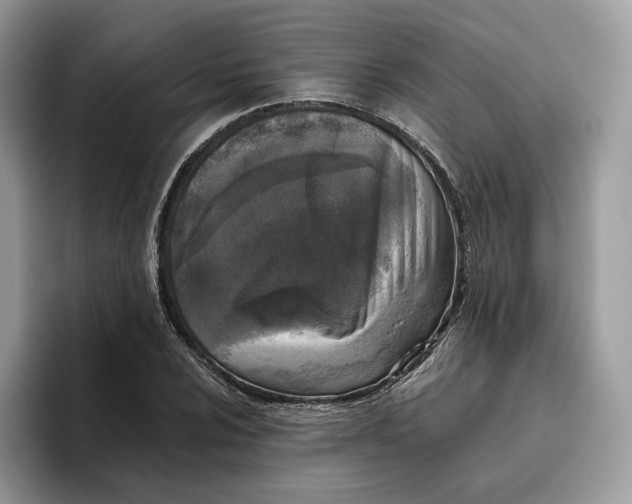 X0000095961024200802011118