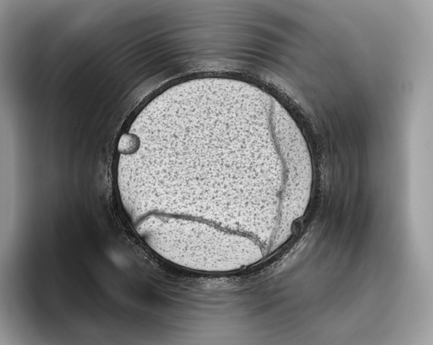 X0000095961025200802011118