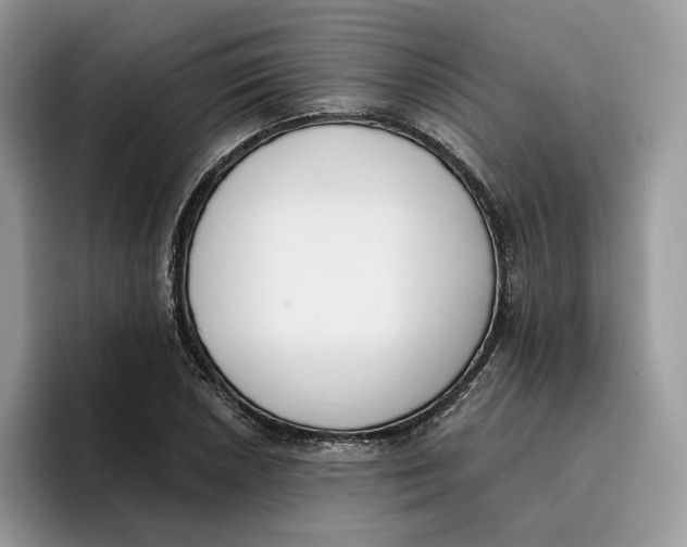 X0000095961026200802011118