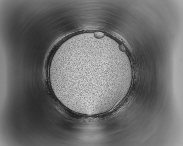 X0000095961027200802011118