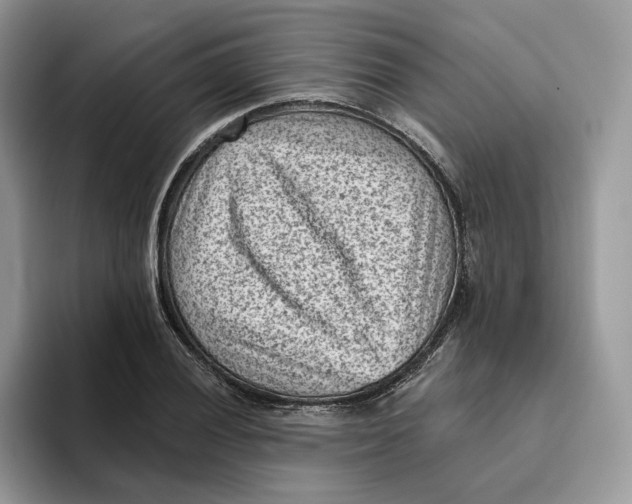 X0000095961028200802011118