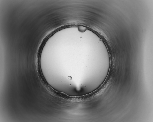 X0000095961029200802011118