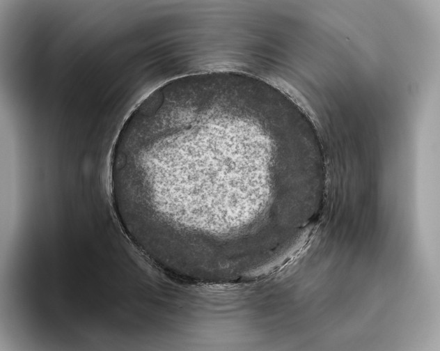 X0000095961031200802011118