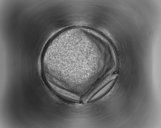 X0000095961032200802011118