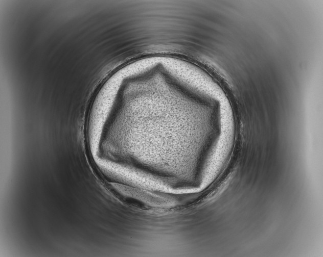 X0000095961033200802011118