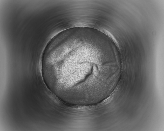 X0000095961035200802011118