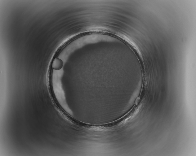 X0000095961037200802011118