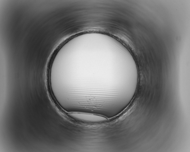 X0000095961038200802011118