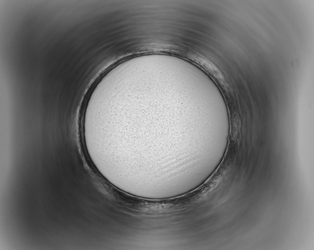 X0000095961039200802011118