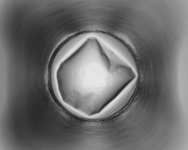 X0000095961040200802011118