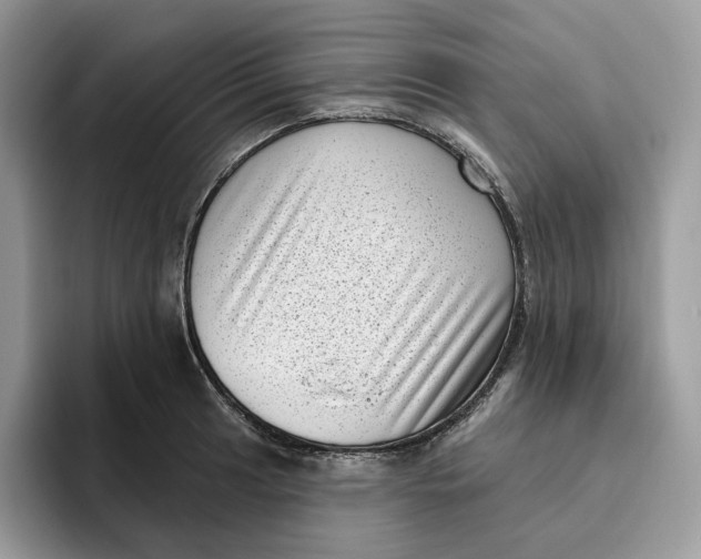 X0000095961041200802011118