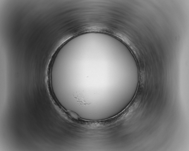 X0000095961042200802011118