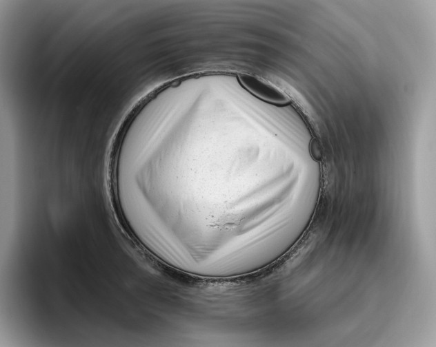 X0000095961043200802011118