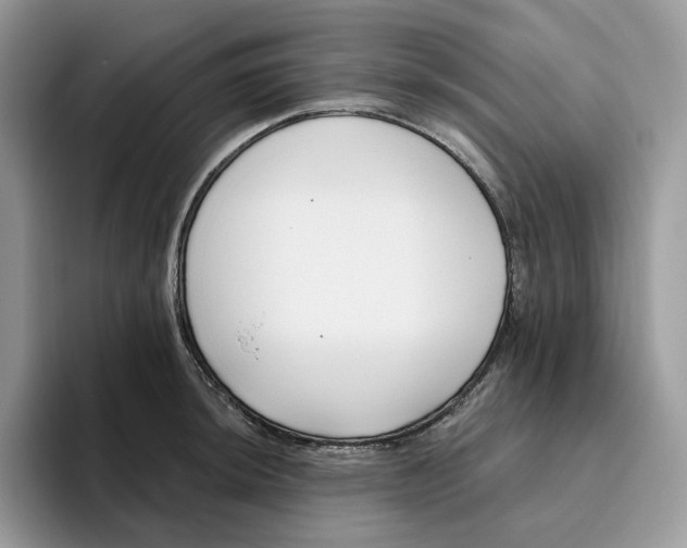 X0000095961044200802011118