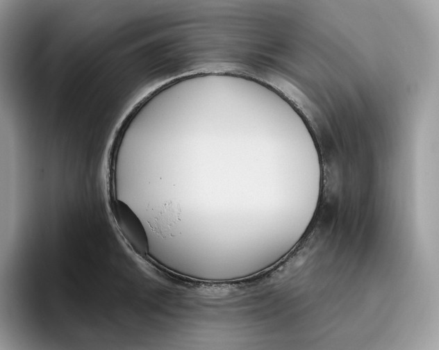 X0000095961046200802011118