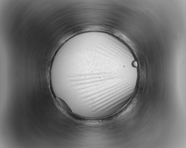 X0000095961049200802011118