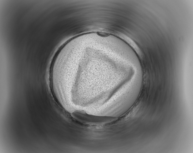 X0000095961051200802011118