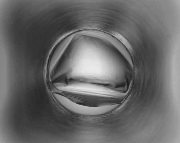 X0000095961052200802011118