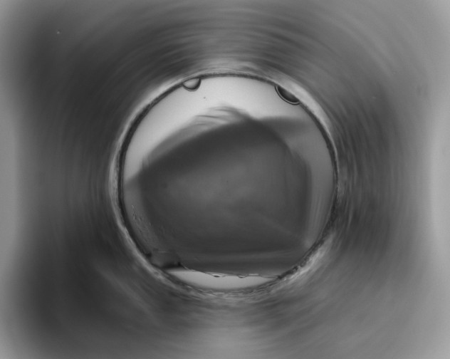 X0000095961053200802011118