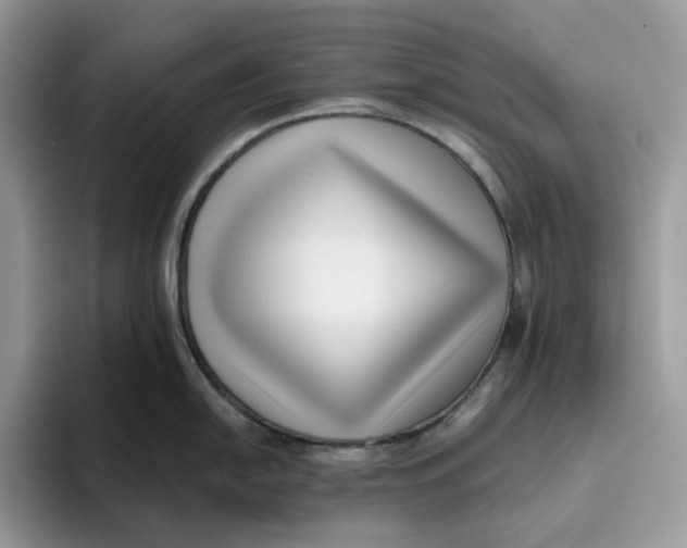 X0000095961054200802011118